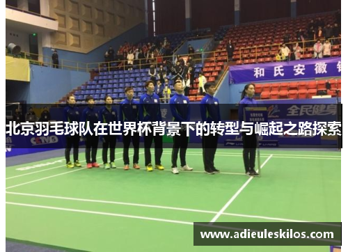 北京羽毛球队在世界杯背景下的转型与崛起之路探索