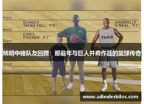 姚明中锋队友回顾：那些年与巨人并肩作战的篮球传奇