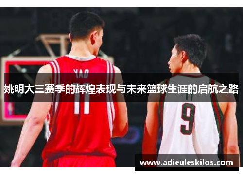 姚明大三赛季的辉煌表现与未来篮球生涯的启航之路