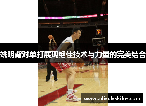 姚明背对单打展现绝佳技术与力量的完美结合