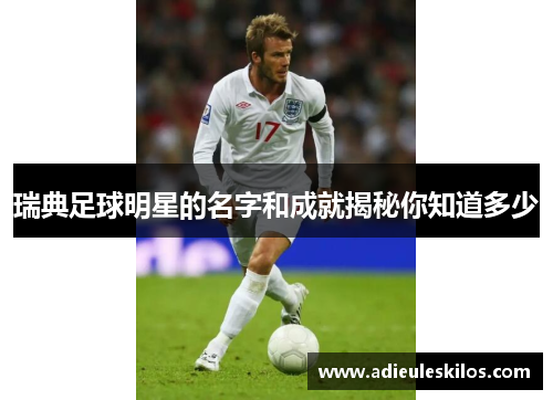 瑞典足球明星的名字和成就揭秘你知道多少